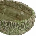 Floristik24 Fioriera in cemento ovale aspetto antico verde, marrone 24×14×13 cm