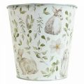 Floristik24 Vaso da fiori coniglietto Cachepot in metallo pasquale Ø15,5cm H15cm