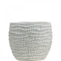 Floristik24 Fioriera in cemento bianco vintage vaso di fiori a nido d&#39;ape H13cm Ø12.5cm 2pz