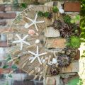 Floristik24 Ghirlanda di legni conchiglie decorazione stella marina marittima 100 cm