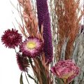 Floristik24 Fiori secchi Bouquet di fiori di prato rosa e cereali 70-75cm