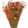 Floristik24 Mazzo di fiori secchi mix arancio 42cm