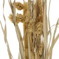 Floristik24 Erbe secche e cereali al naturale in un mazzo secco bouquet 48cm