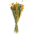 Floristik24 Mazzo di fiori secchi Mazzo di fiori secchi Mazzo di fiori di prato 58cm