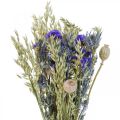 Floristik24 Bouquet di fiori secchi Bouquet di fiori di campo blu H50cm 100g
