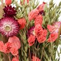 Floristik24 Mazzo di fiori secchi fiori di paglia grano papavero capsula Phalaris carice 55cm