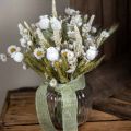 Floristik24 Bouquet di fiori secchi fiori di paglia grano papavero capsula erba secca 50cm