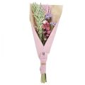 Floristik24 Bouquet di fiori secchi fiori di paglia spiaggia lilla rosa 58 cm