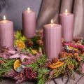 Erba di canna essiccata, erba decorativa essiccata, rosa antica, 75 cm, 10 pezzi | Floristik24.it