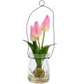 Floristik24 Tulipano in vetro rosa H22,5cm 1pz