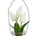 Floristik24 Tulipano bianco in vetro H21cm 1pz