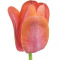 Floristik24 Fiore artificiale tulipano rosso, arancione Fiore primaverile artificiale H67cm