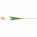 Floristik24 Fiore di tulipano artificiale rosa stelo H67cm