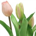 Floristik24 Tulipano rosa, verde in vaso Pianta artificiale in vaso Tulipano decorativo H23cm