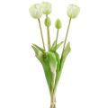 Floristik24 Tulipani Crema Real-Touch Decorazione floreale L43,5cm 5 pezzi