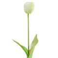 Floristik24 Tulipani Crema Real-Touch Decorazione floreale L43,5cm 5 pezzi