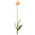 Floristik24 Tulipani Rosa-Giallo 86cm 3 pezzi