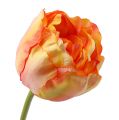 Floristik24 Tulipani Rosa-Giallo 86cm 3 pezzi