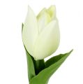 Floristik24 Decorazione primaverile, tulipani artificiali, fiori di seta, tulipani decorativi verde/crema 12 pezzi