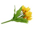 Floristik24 Cespuglio di tulipani Giallo H30cm