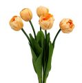Floristik24 Bouquet di tulipani albicocca 43 cm