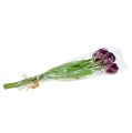 Floristik24 Bouquet di tulipani 43 cm viola