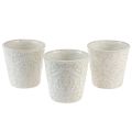 Floristik24 Fioriera Vaso per piante in ceramica bianco Ø11 cm H11 cm 3 pezzi