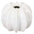 Floristik24 Vaso in ceramica a forma di zucca, bianco, decorazione per la casa, 15 cm