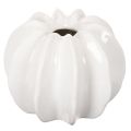 Floristik24 Vaso decorativo a forma di zucca, lucido, decorazione autunnale per soggiorno, 19 cm