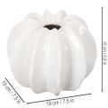Vaso decorativo a forma di zucca, lucido, decorazione autunnale per soggiorno, 19 cm | Floristik24.it