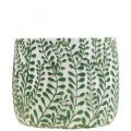 Floristik24 Vaso in ceramica con viticci di foglie, fioriera, fioriera Ø18cm H14.5cm
