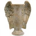 Floristik24 Vaso decorativo in cemento, anfora con ali d&#39;angelo effetto vintage dorato L20,5 cm A26 cm