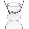 Floristik24 Mini vasi in vetro per staffa sospesa bulbo H11/11,5 cm set di 2