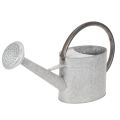 Floristik24 Annaffiatoio vintage in metallo, grigio argento, elegante decorazione da giardino, vaso per fiori, L53cm H29cm