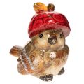 Floristik24 Statuetta decorativa di uccello con cappello di mela rossa, decorazione autunnale, 13 cm