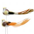 Floristik24 Uccello sul filo marrone / arancione 14 cm 12 pezzi