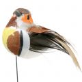 Floristik24 Mini uccellini su filo bianco/marrone 5-7cm 16p