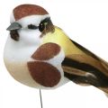 Floristik24 Decorazione primaverile, uccelli su filo, uccello artificiale marrone, bianco H3cm 12pz