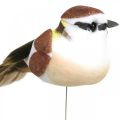 Floristik24 Decorazione primaverile, uccelli su filo, uccello artificiale marrone, bianco H3cm 12pz