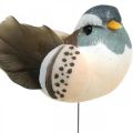 Floristik24 Decorazione uccelli, uccelli su filo, decorazione primaverile blu, marrone H3.5cm 12pz