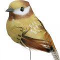 Floristik24 Primavera, uccello sul filo, uccelli decorativi colori naturali H7,5 cm 12 pezzi