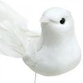 Floristik24 Colombe bianche, matrimonio, colombe decorative, uccelli su filo H6cm 6pz