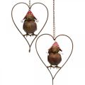 Floristik24 Uccello decorativo in metallo per appendere decorazioni da giardino rosso ruggine-bianco 15×21 cm