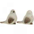 Floristik24 Uccelli in ceramica, primavera, uccelli decorativi bianco, marrone H7/7,5cm 6pz