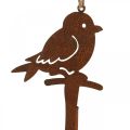 Floristik24 Decorazione da appendere decorazione patinata uccello decorazione vintage metallo 28cm
