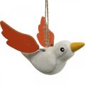 Floristik24 Deco uccelli in legno per appendere decorazioni a molla per uccelli 10,5 cm 6 pezzi
