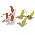 Floristik24 Deco uccelli in legno per appendere decorazioni a molla per uccelli 10,5 cm 6 pezzi