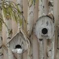 Casetta per uccellini decorativi in legno nido decorativo con corteccia naturale lavato bianco H23cm W25cm