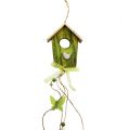 Floristik24 Birdhouse per appendere verde 15 cm L65 cm 3 pezzi