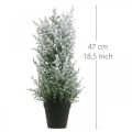 Floristik24 Ginepro artificiale in vaso pianta artificiale innevata H47cm